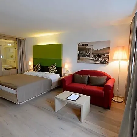 Seehotel Schwan Hotel