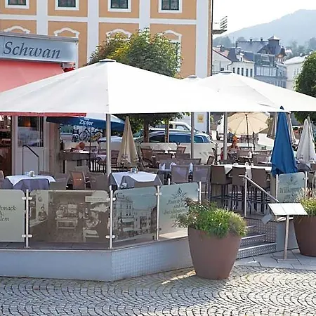 Seehotel Schwan Hotel