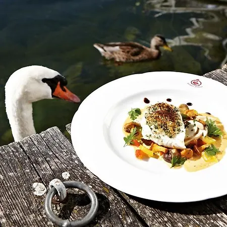 Hotel Seehotel Schwan Gmunden