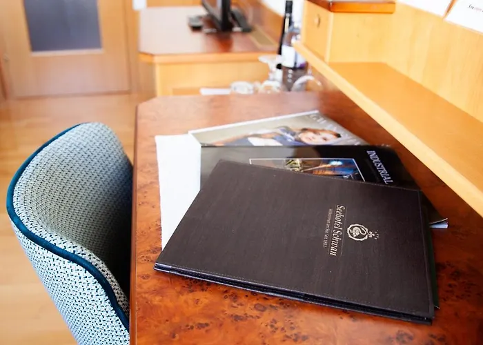 Seehotel Schwan Отель