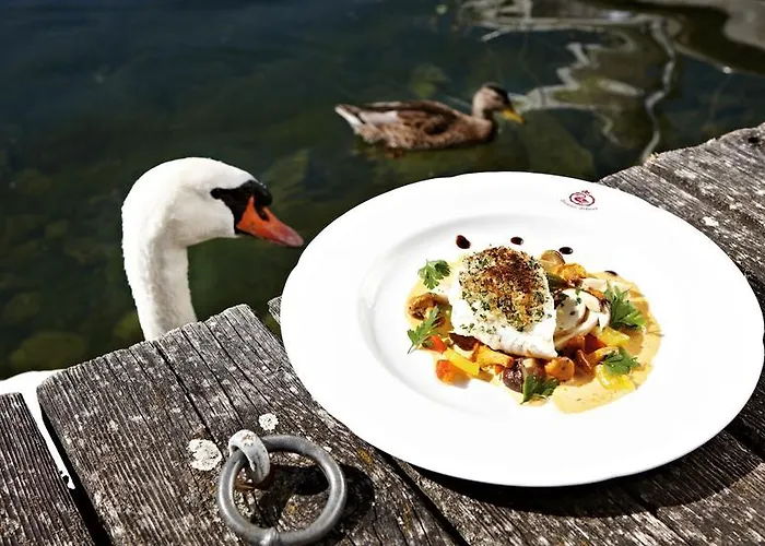 Hotel Seehotel Schwan Gmunden