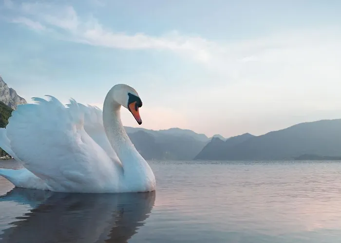 Seehotel Schwan Gmunden