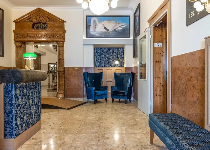 Seehotel Schwan Отель 4*