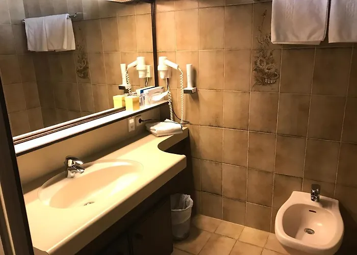 Seehotel Schwan Отель